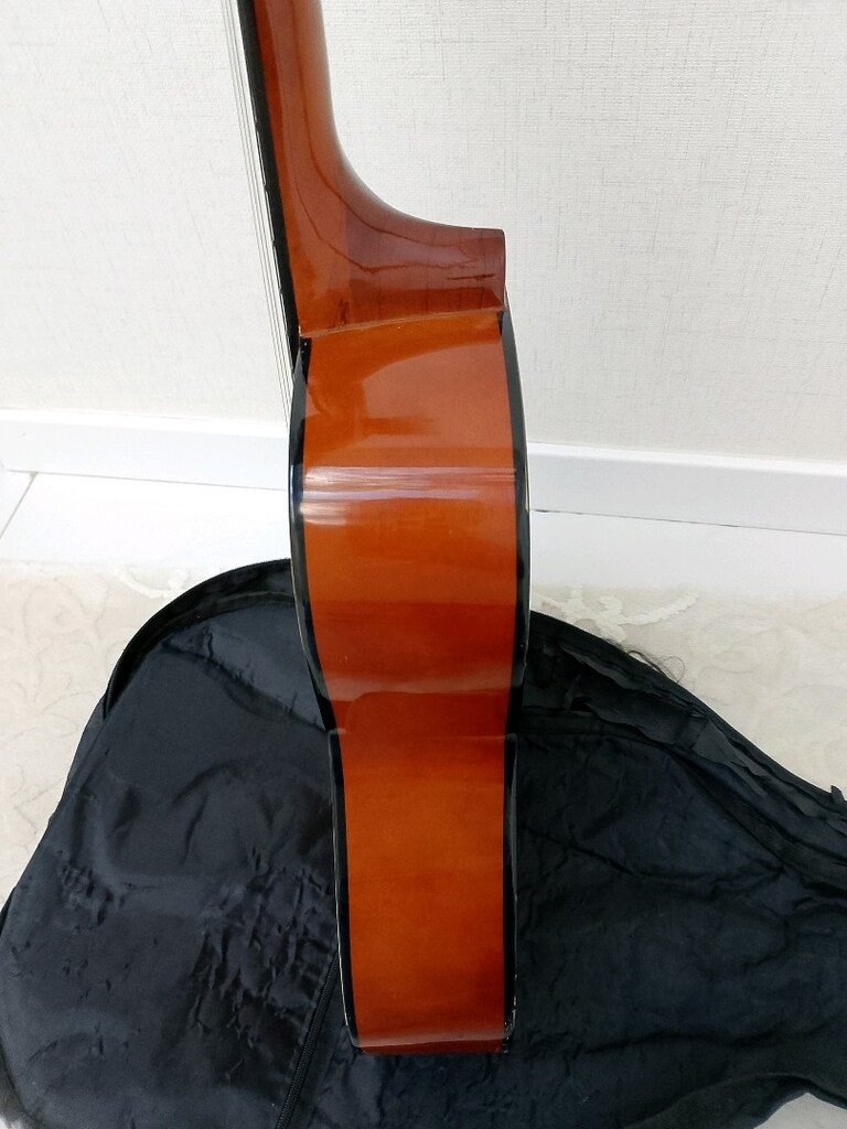 Rayban Manuel marka gitar - 4