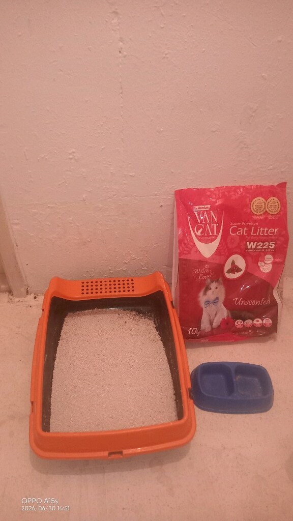Açık kedi tuvaleti - 3