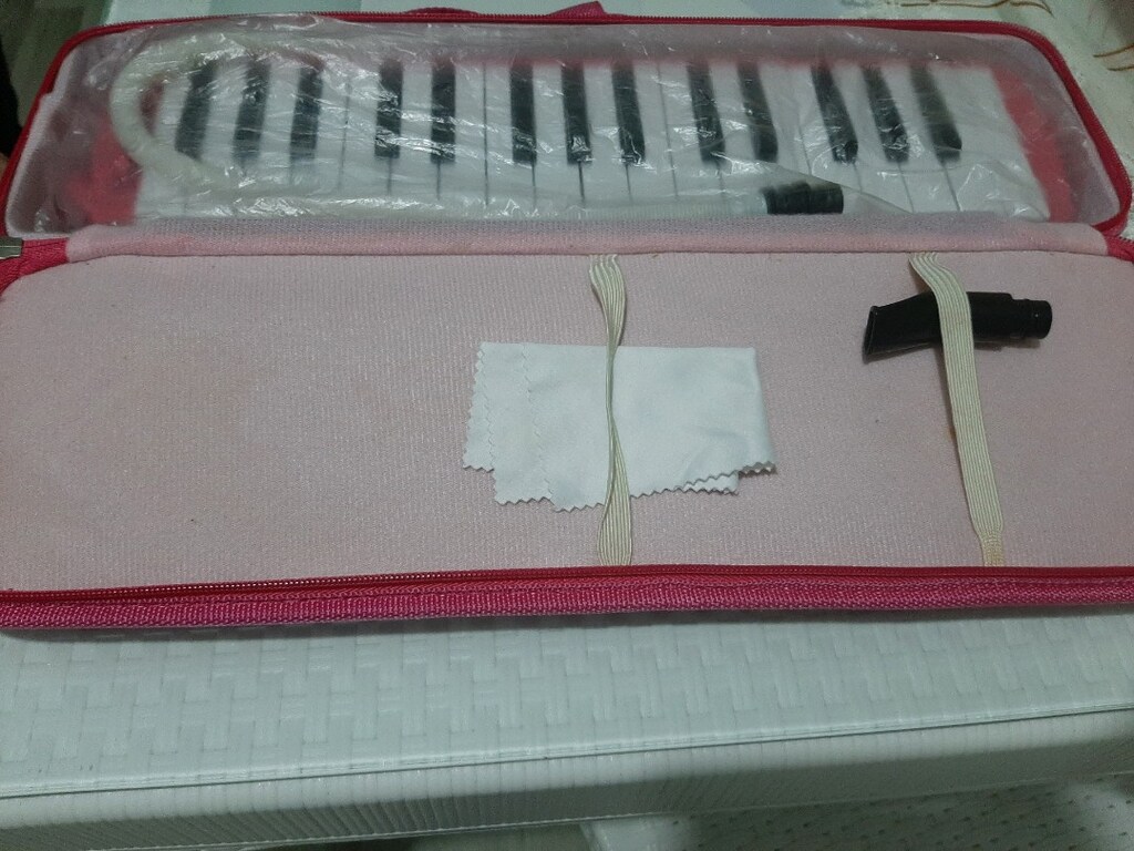 Ticon Melodika - 2