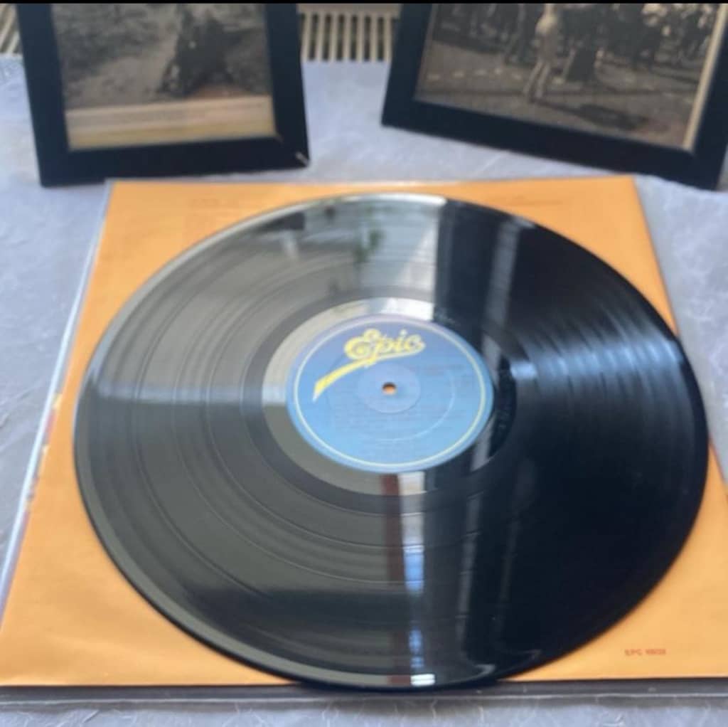 ABBA The Visitors LP 1981 Dönem - 4