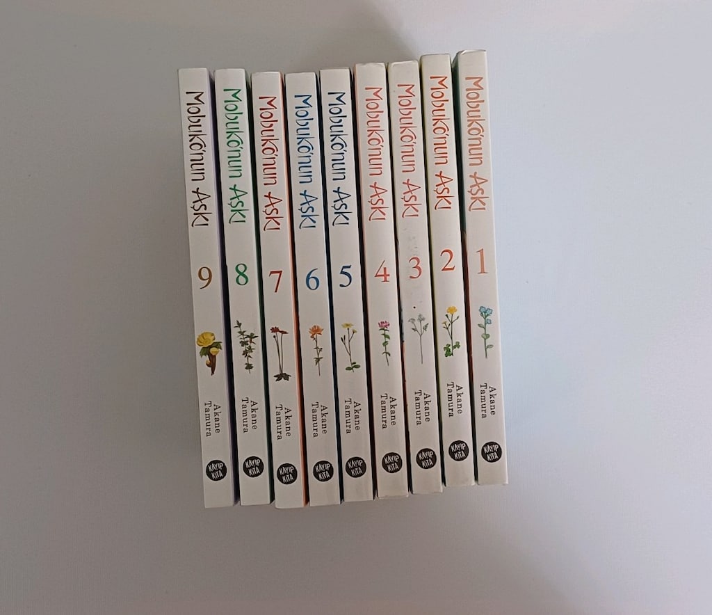 mobuko'nun aşkı ilk 9 cilt