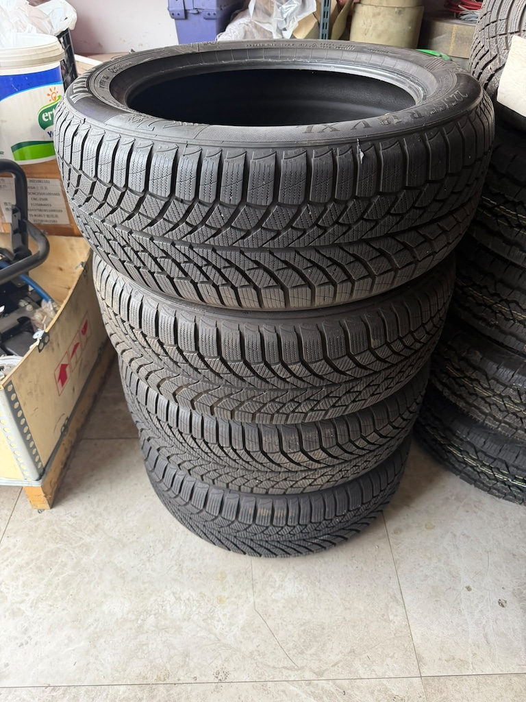 225X55X18 kışlık lastik - 6