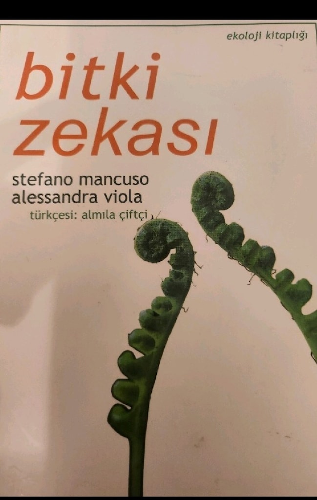darwin sapiens bitki zekası - 3