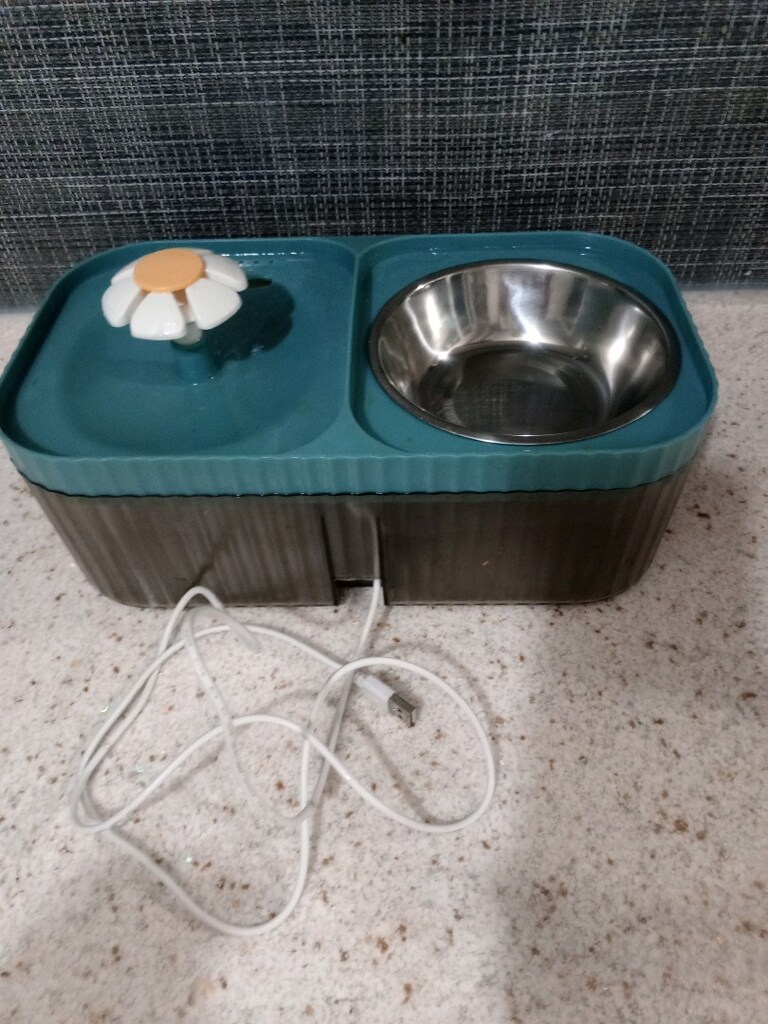 KEDİ MAMA VE ŞU KABI - 2
