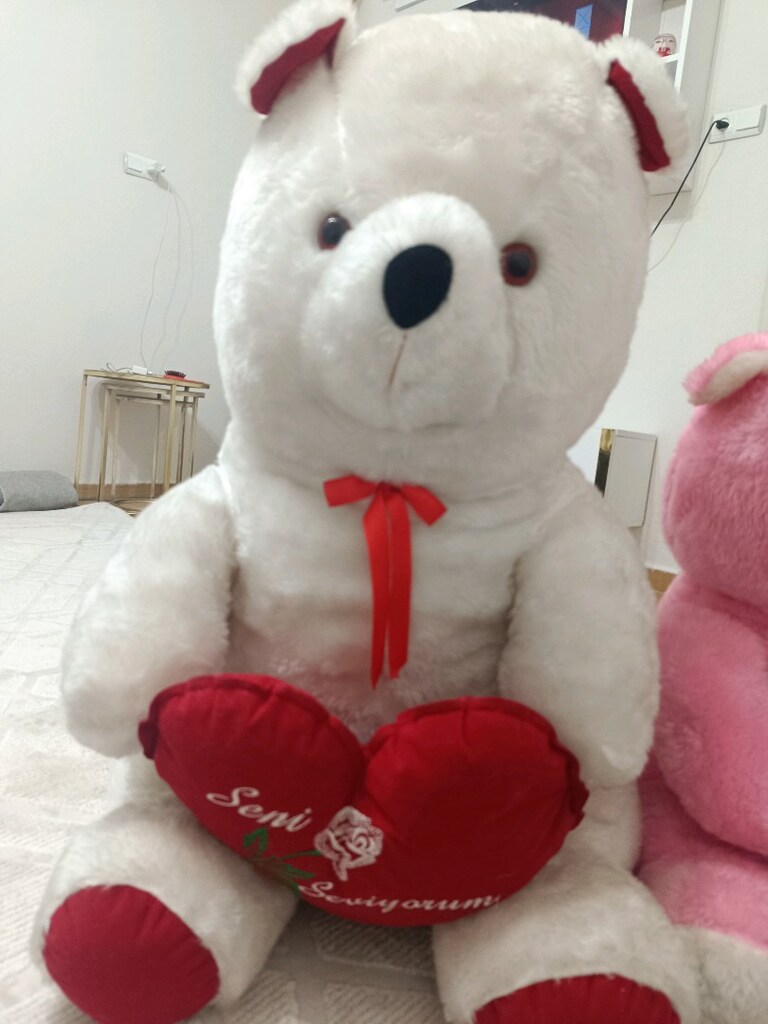 peluş ayıcık - 4