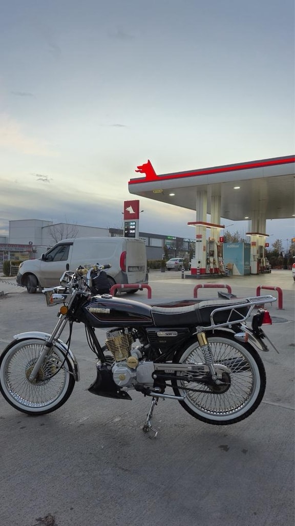 TERTEMİZ KUBA CITA 50R-GOLD - 10