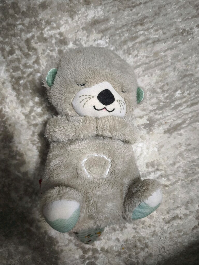 Fisher Price Uyku Arkadaşı Şu samuru - 4