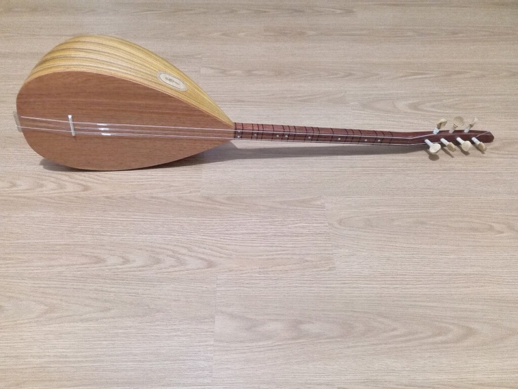 40 TEKNE DUT AĞACI KISA SAP ORTA ÜSTÜ KALİTE BAĞLAMA - 2