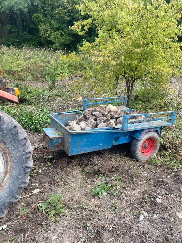 sahibinden satılık traktör 165 lik 1959 model - 2