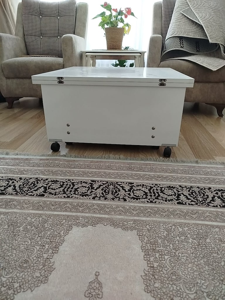 AKILLI SEHPA VE GÜMÜŞLÜK VİTRİN - 2