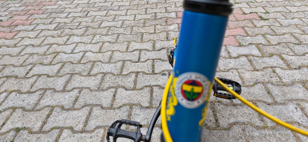 FENERBAHÇE LİSANSLI BİSİKLET - 11