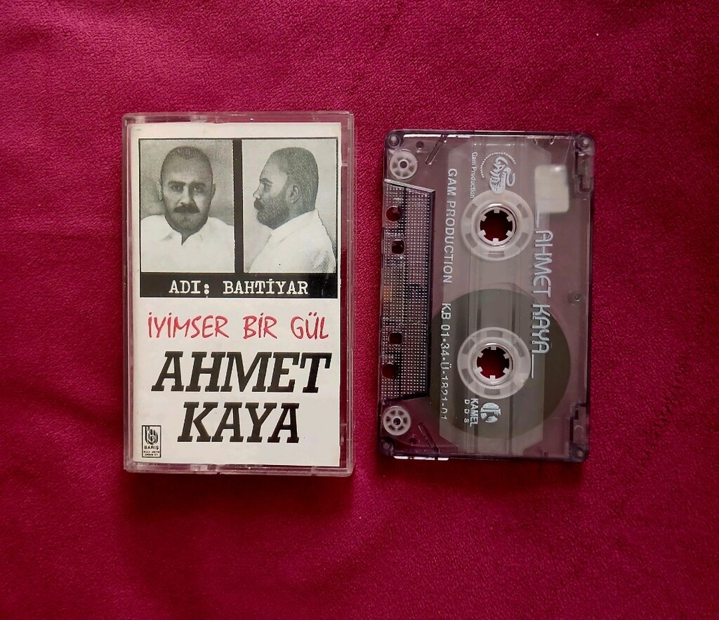 AHMET KAYA"İYİMSER BİR GÜL" - 2