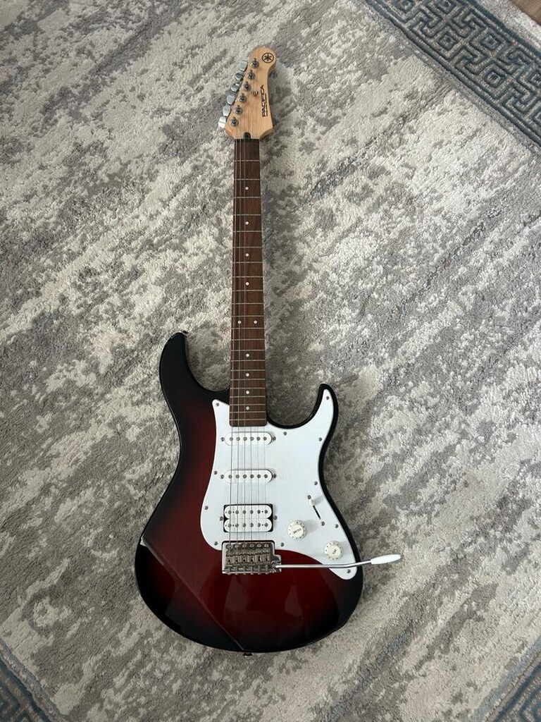 elektro gitar