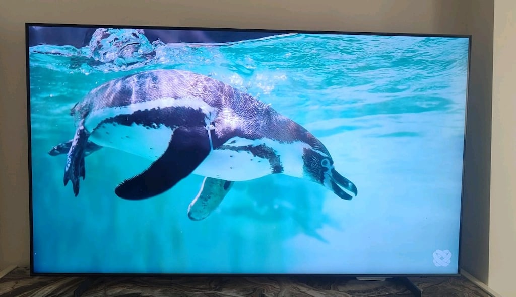 75 inç Samsung Televziyon - 4