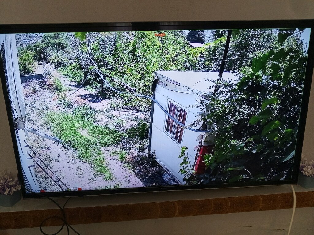 4 lü takım seti - 7