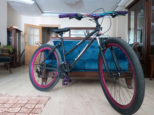 ilk sahibinden Bianchi shark mtb