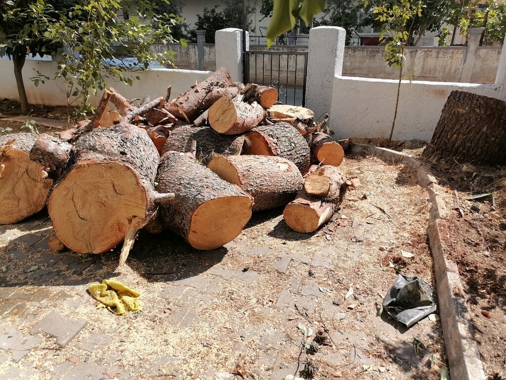 Odun - 3
