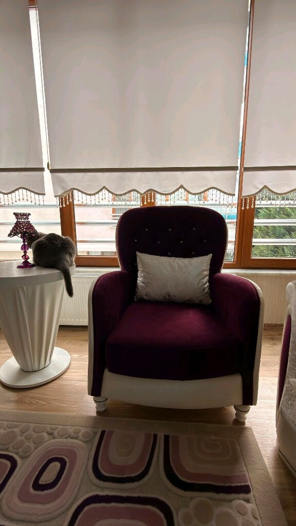 salon takımı - 4