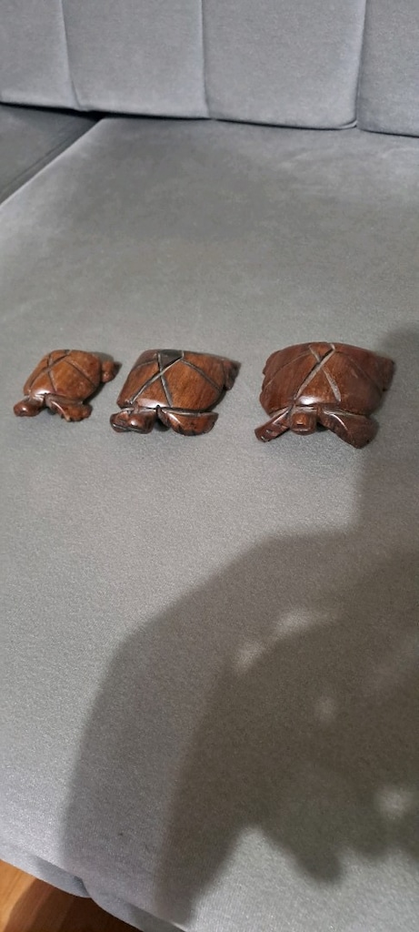 ahşap kaplumbağa - 4