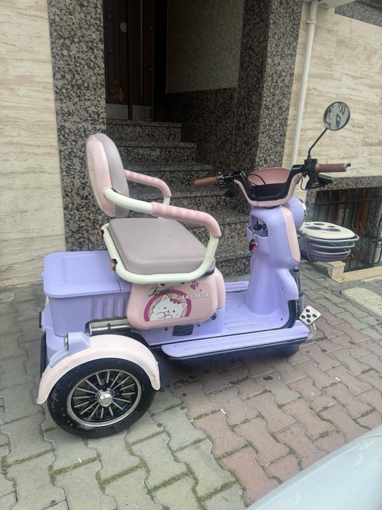 elektrikli Motor
