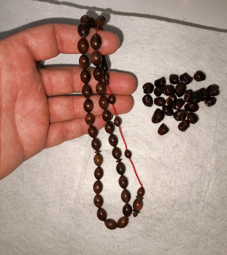 Demirhindi ağacı tesbih - 11
