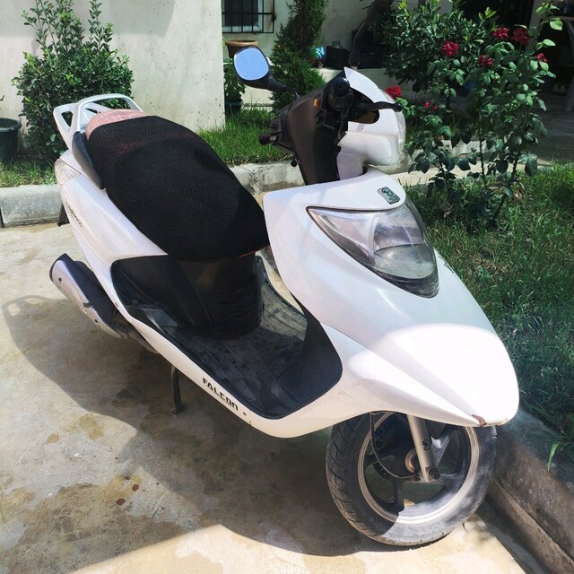 ACİL SATILIK EN UCUZ FALCON DOLPHİN 100CC Motor