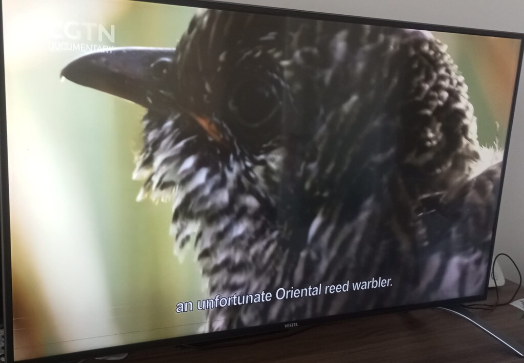 VESTEL 43UD9300 LED 4K SMART TV (TKGS li, Yatık çizgiler mevcut) - 7