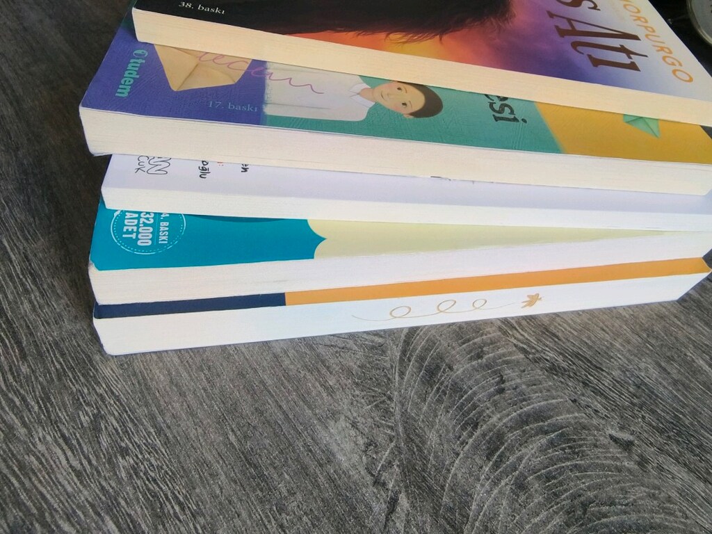 içimdeki müzik içimdeki melodi savaş atı hayal sözleşmesi martıya - 2