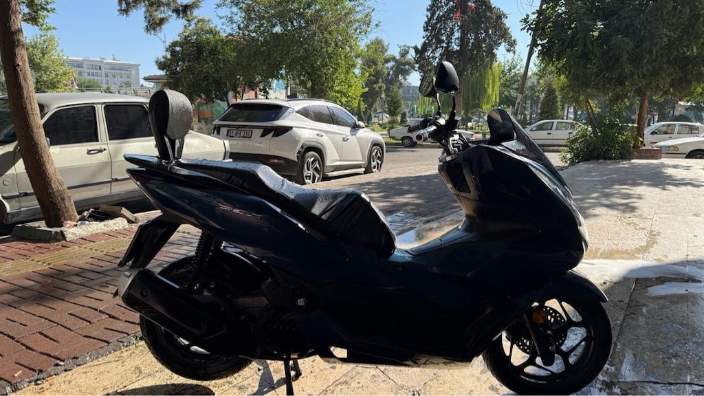 PCX - 3