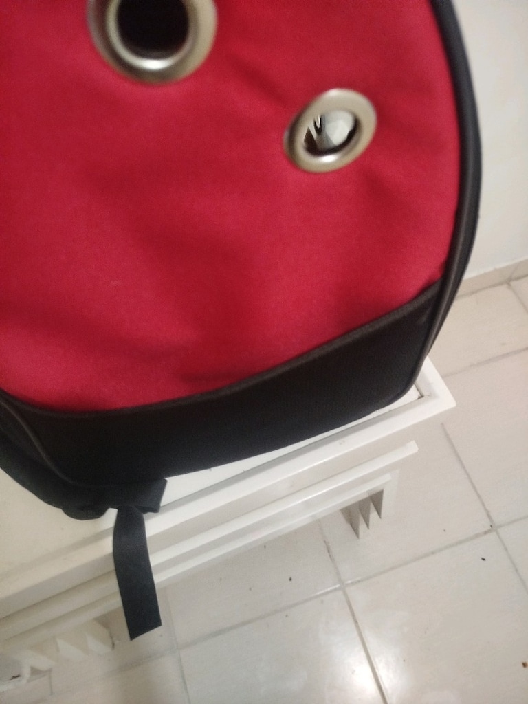 kedi veya köpek taşıma çantası - 5