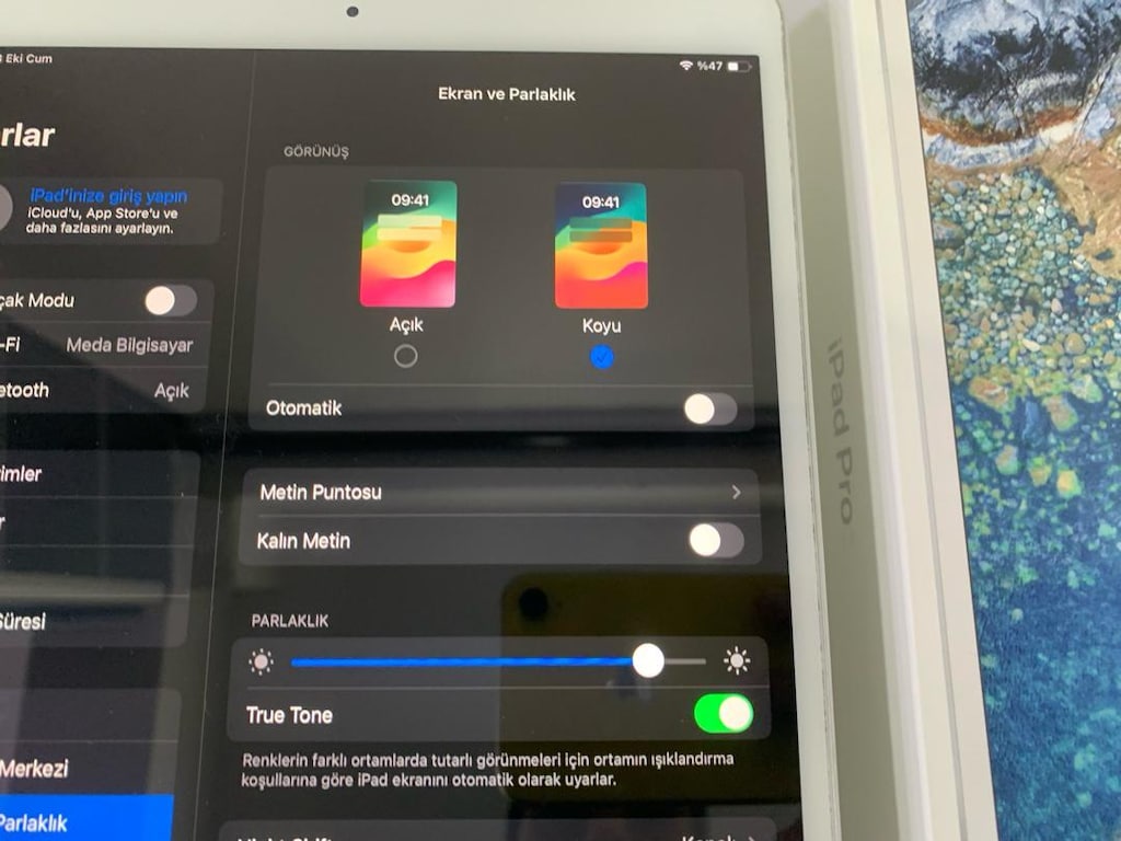 İpad Pro 10.5 inç A1701 model 64 gb 120hz tr cihaz kutulu - 5