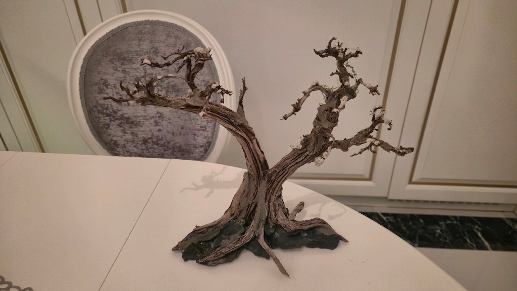 Doğal moss ağacı