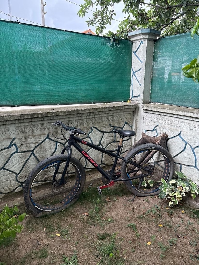 carraro fat bike