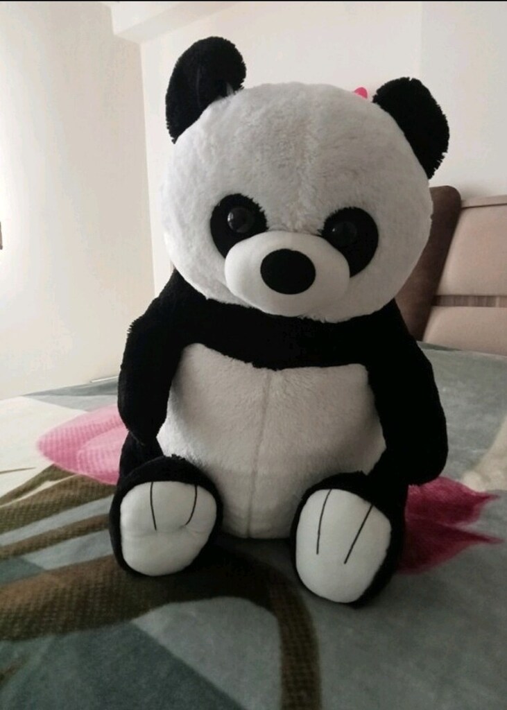 BÜYÜK BOY PANDA PELUŞ OYUNCAK - 6