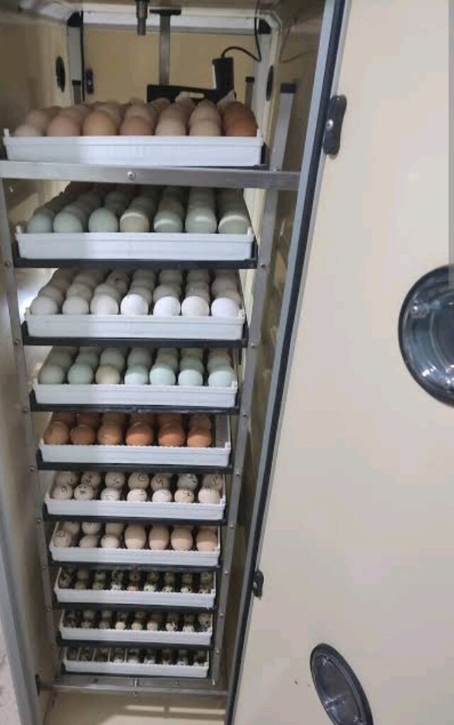 cimuka 700s kaz soğutmalı - 4
