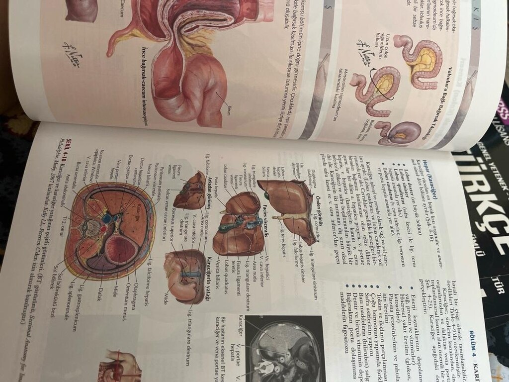 Netterin klinik anatomisi 2.Baskıdan çeviri Palme - 3
