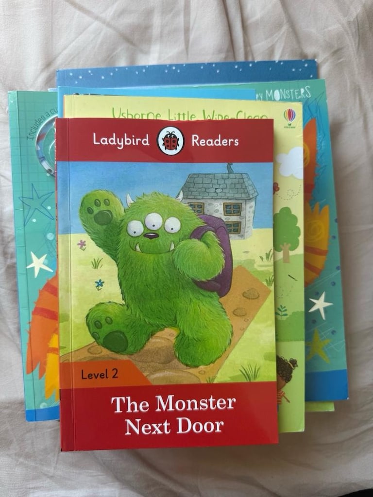 İngilizce Çocuk Kitapları Seti – Usborne, Ladybird, Scholastic, DogMan - 2