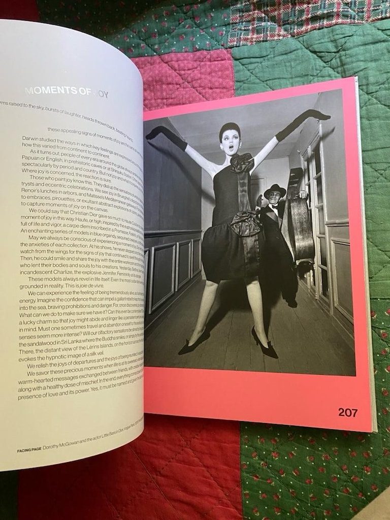 Dior: Moments of Joy / Muriel Teodori - 11