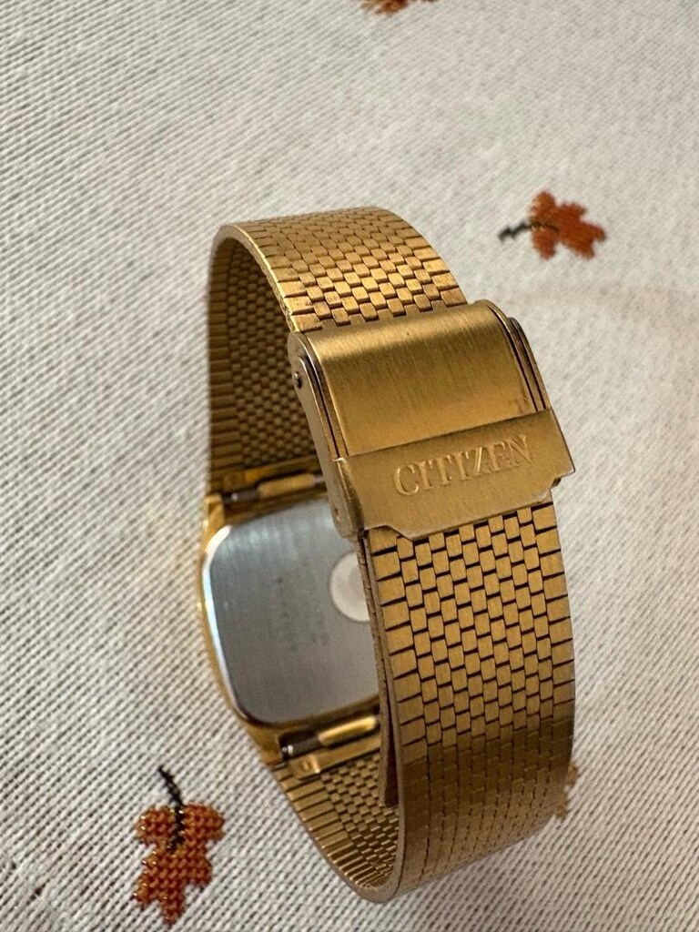 CITIZEN SAAT - 4