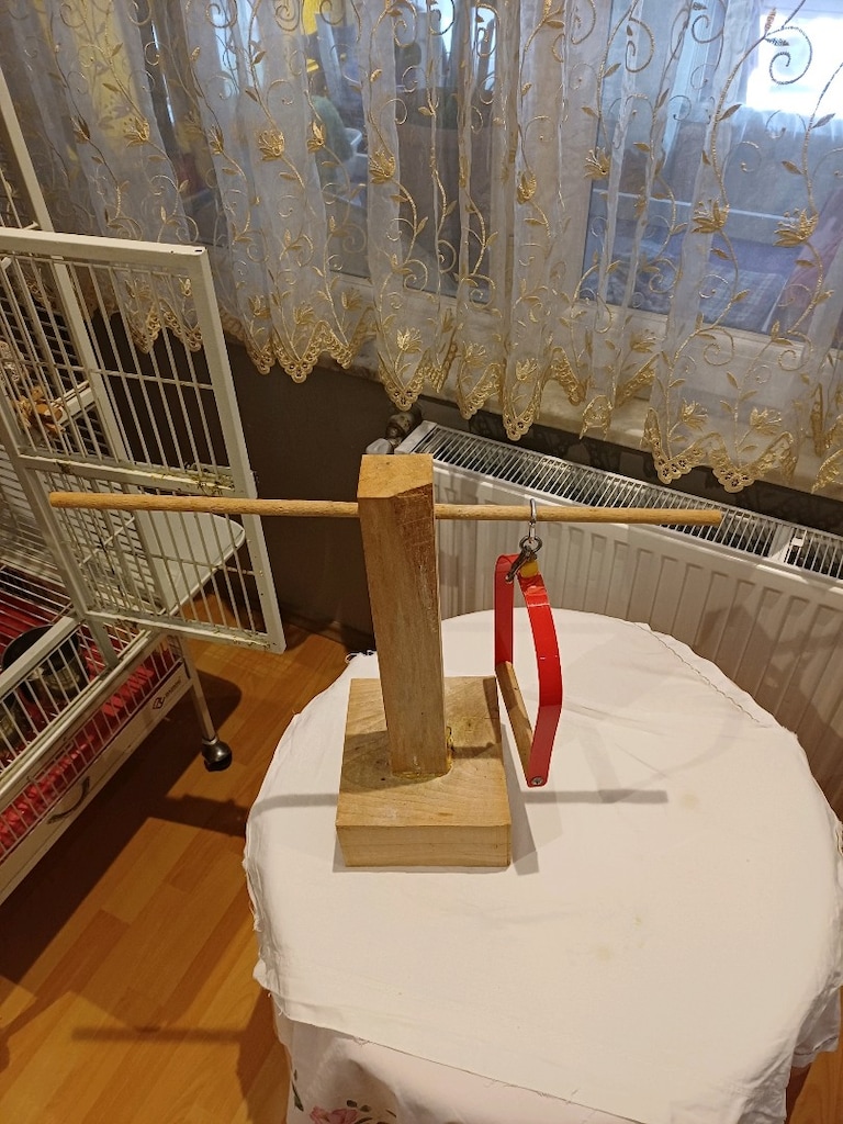 PAPAĞAN KAFESI - 4