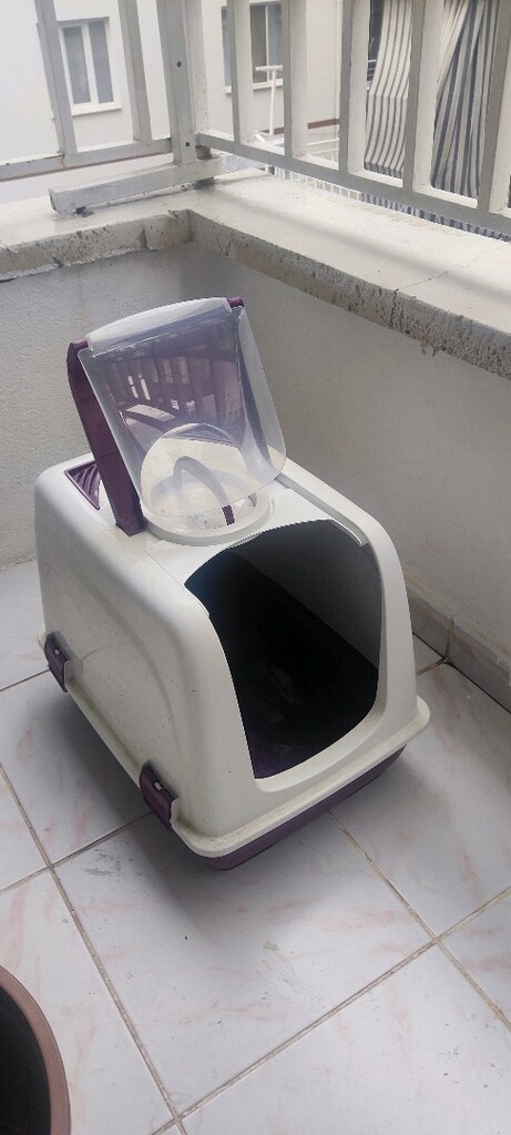 Kedi Kum Kabı - 2