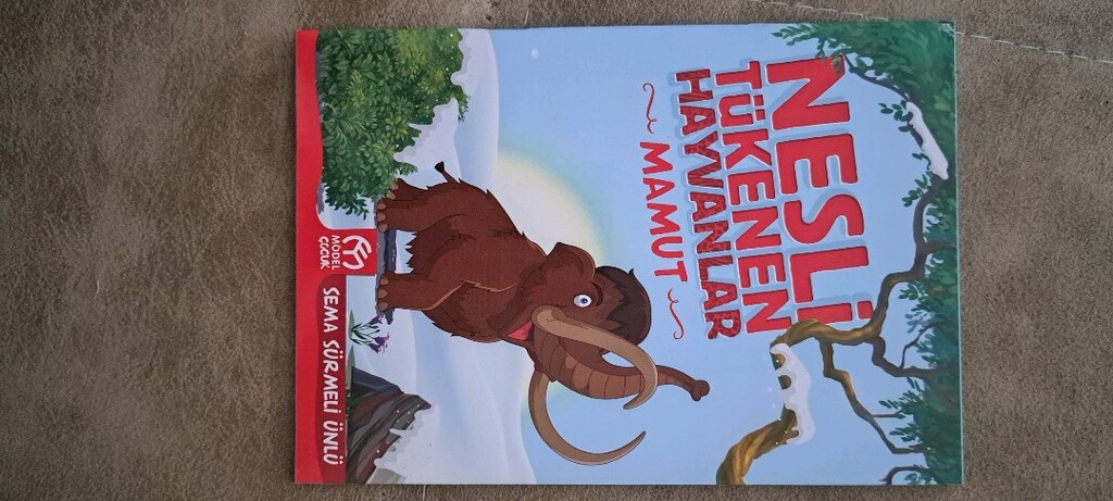 Nesli Tükenen Hayvanlar: Renkli ve Eğitici Kitap Seti - 10