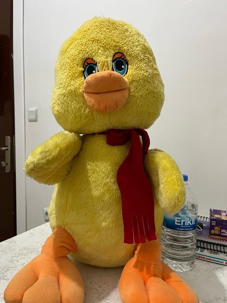 peluş ayıcık - 2