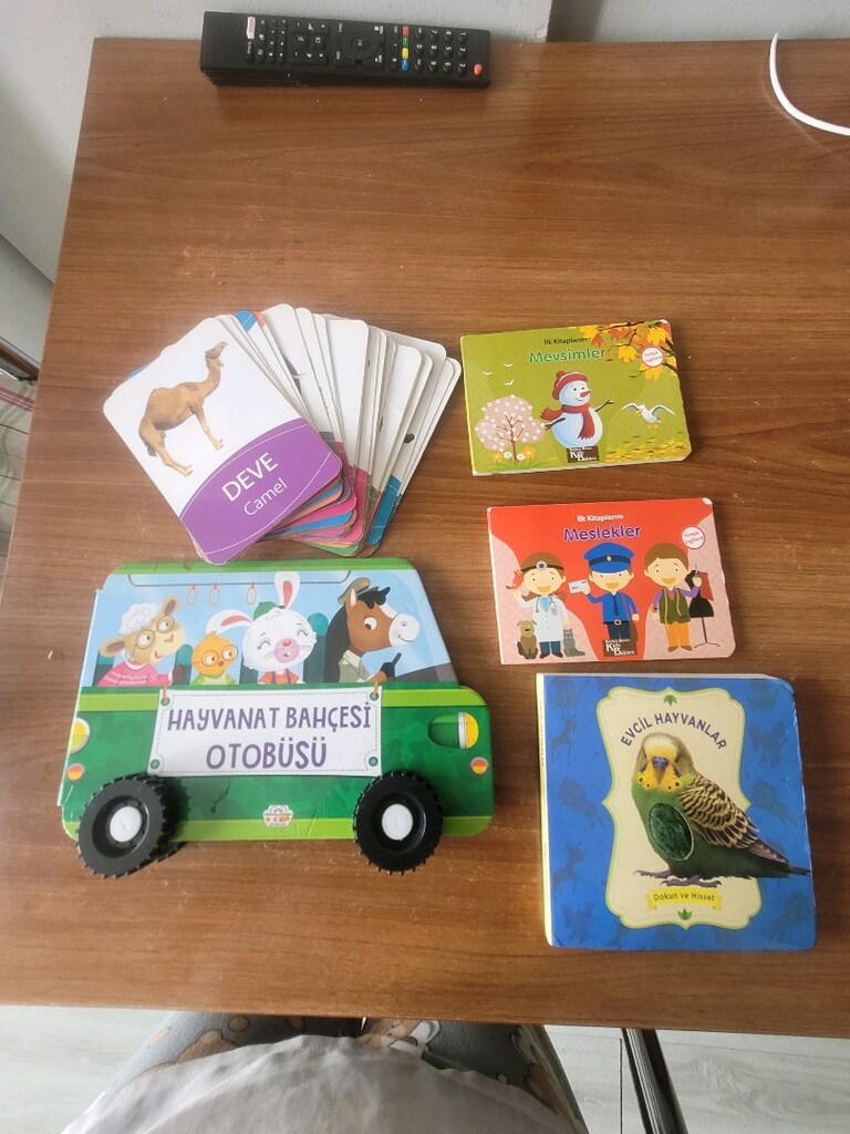 çocuk hikaye hayvan tanıtım kartları dokunmalı hayvan kitabı - 3