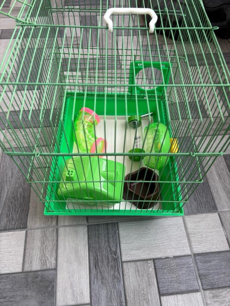 Sıfır ayarında hamster kafesi ve envanterleri - 2