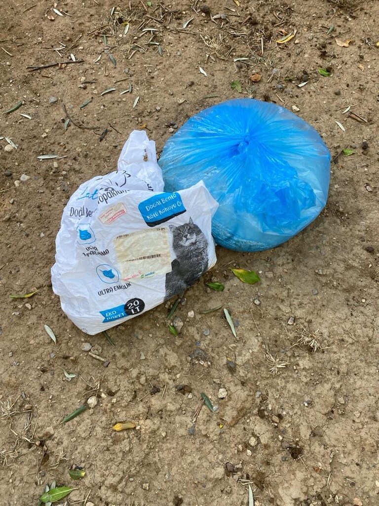 kedi taşıma kafesi ve kedi tuvaleti - 2