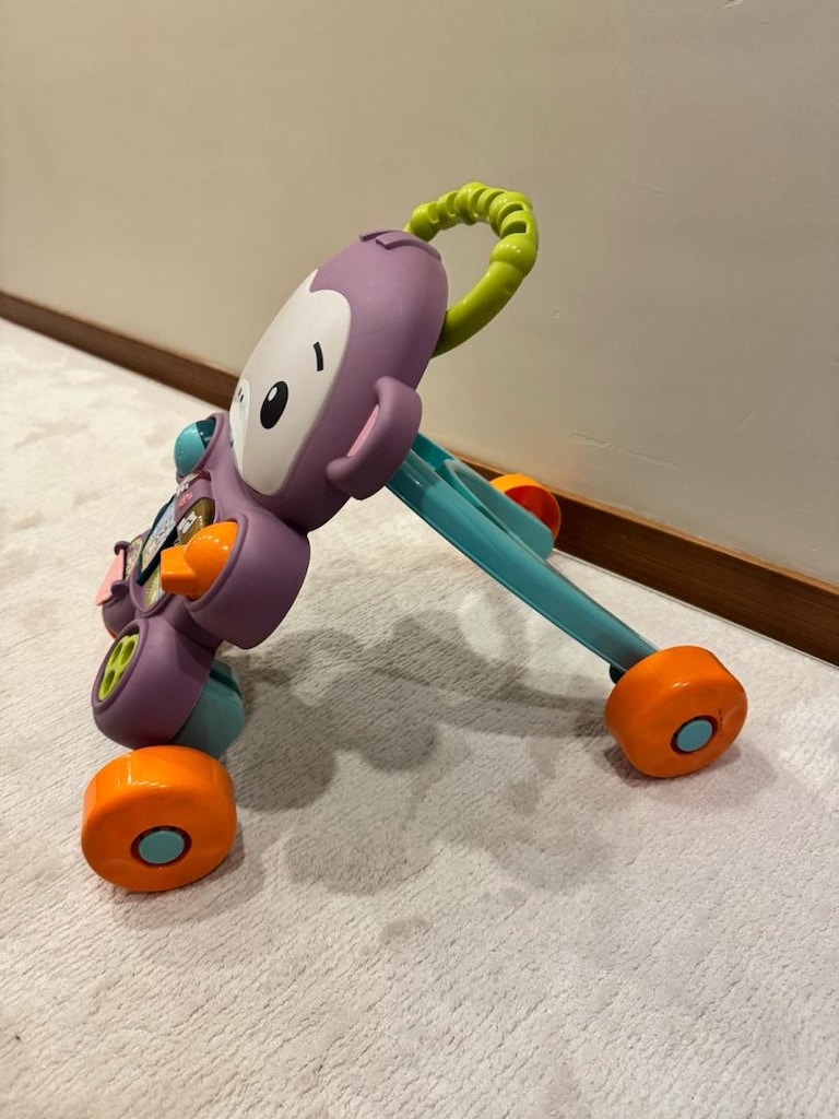 Fisher-Price Eğitici Yürüme Arkadaşı - 3