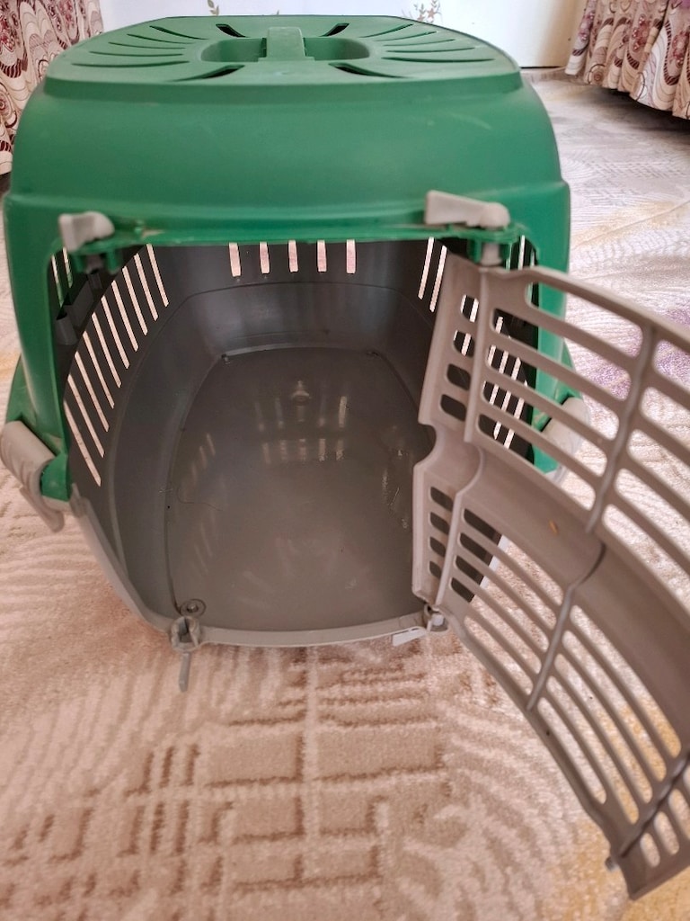 kedi köpek kafesi - 2