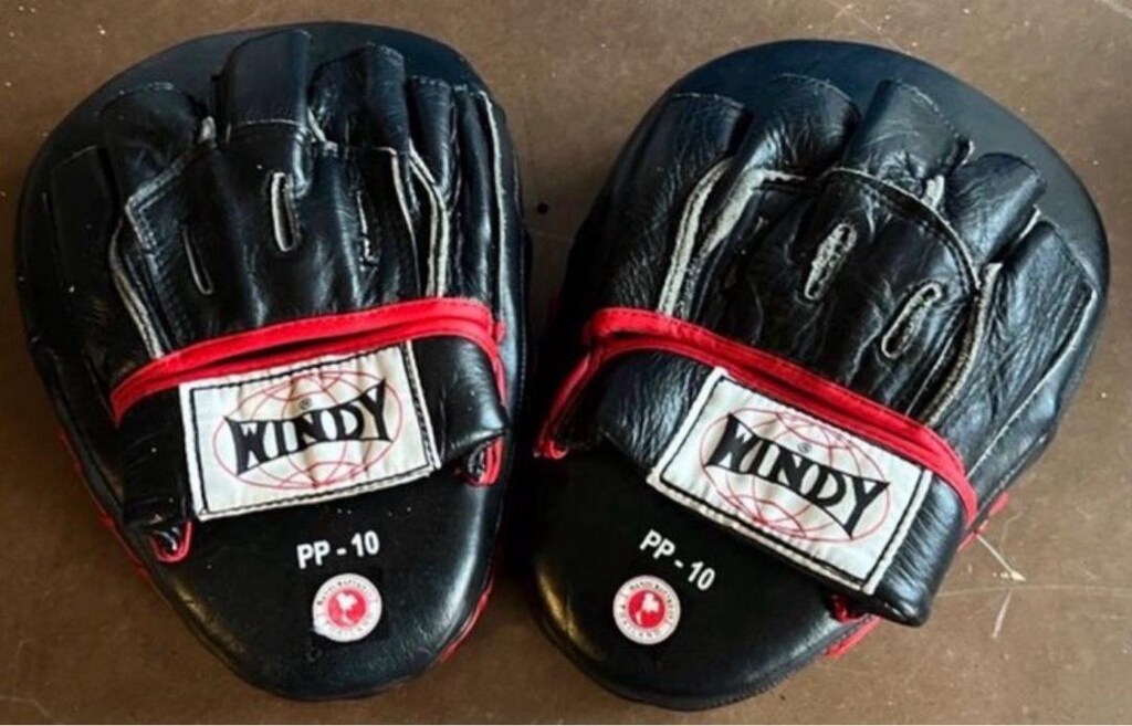 boks, kick boks ve Muay Thai antrenmanlarında kullanılan Windy - 2