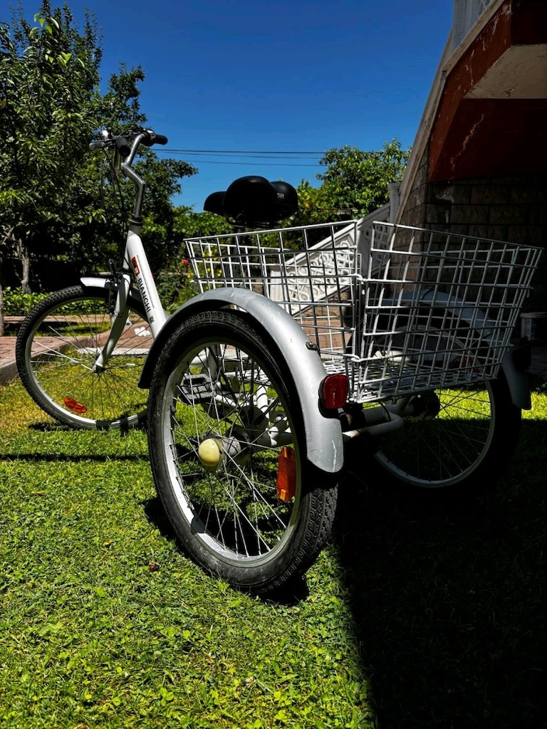 Bianchi üç tekerlekli bisiklet - 3